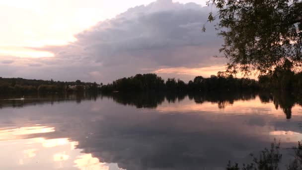 Dramatic Sky Water Passage Swan Symmetry Clouds Lake Water Bird — Stockvideo