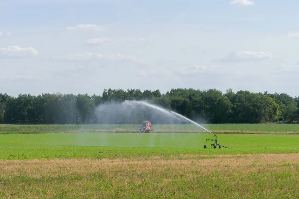 Agricultural sprinkler in the countryside. Field irrigation system. Irrigation hose cart in the background.