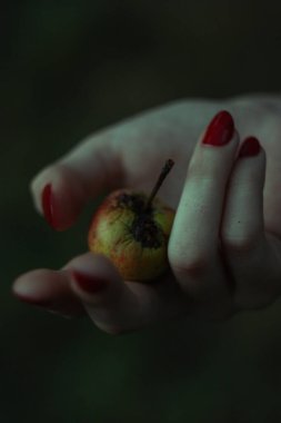 Ahşap bir arka planda, çürük bir elmayı tutan bir kadının yakın çekimi..