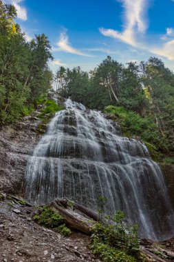 Aydınlık bir yaz gününde ormanın derinliklerine gelin düştü.