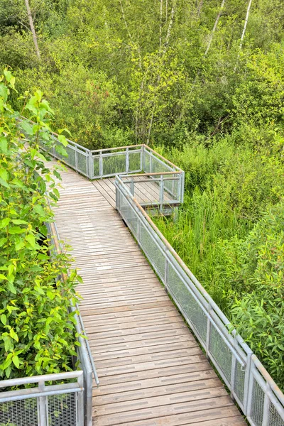 Recreational Deck Observation Park Burnaby Lake — Stock Photo, Image