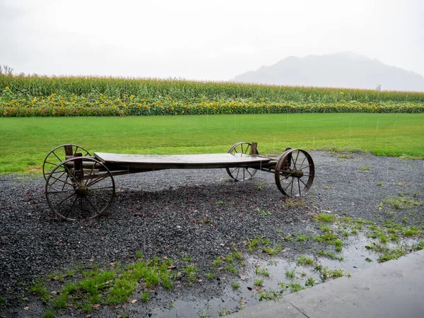 Abandoned horse cart beside the farm field on a rainy day.