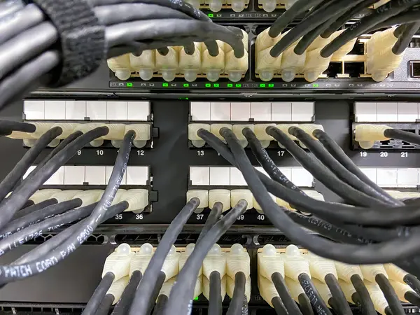 Kabel Ethernet Yang Terhubung Dari Panel Patch Peralatan Jaringan Dengan — Stok Foto