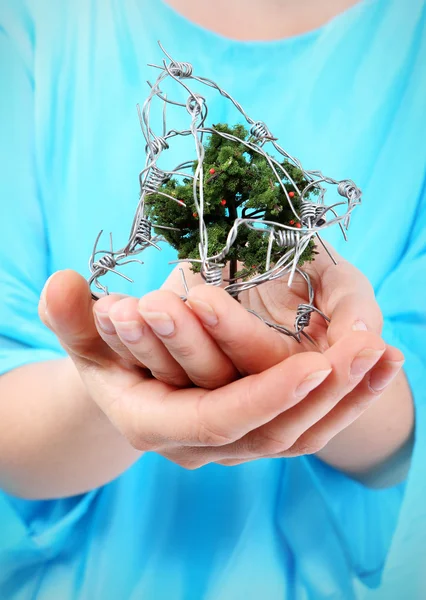 Stop cutting down forests. — Stock Photo, Image