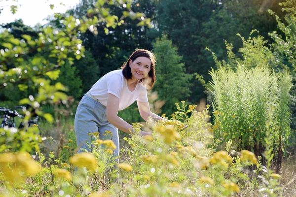 黄花田里一个年轻女子的画像 那个女人正在草地上采摘草药 — 图库照片