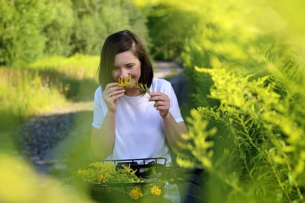 Naturmedicin Lycklig Ung Kvinna Luktar Gyllene Blommor Guldspö — Stockfoto