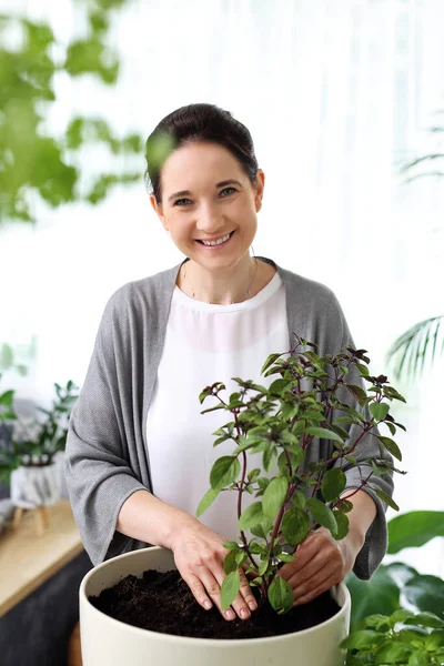 Green herb garden, woman is planting herbs in a pot.