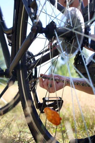 Reparação Bicicletas Mulher Está Colocar Corrente Bicicleta Fotos De Bancos De Imagens