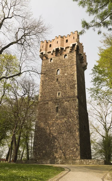 Defesa da torre medieval — Fotografia de Stock