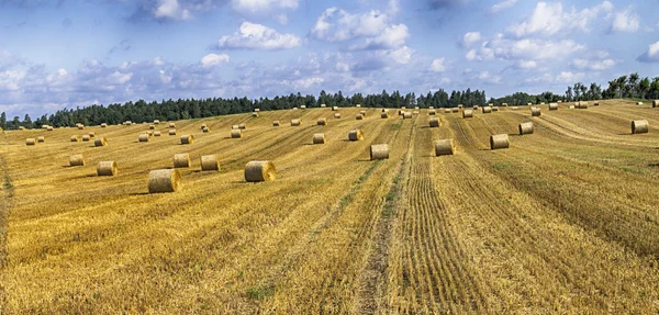 Balles de foin doré dans la campagne polonaise — Photo