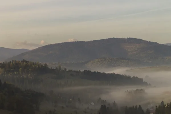 Morning fog in Polish mountains — Stock Photo, Image