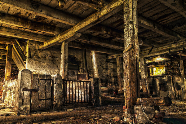 The old wooden abandoned barn on the Vistula delta