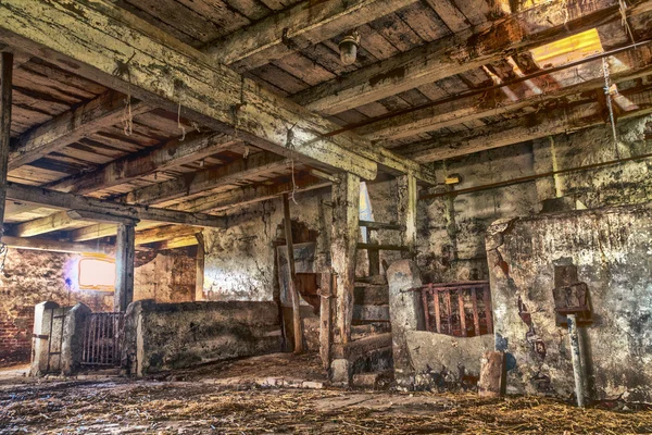 eski ahşap ahır vistula delta üzerinde terkedilmiş.