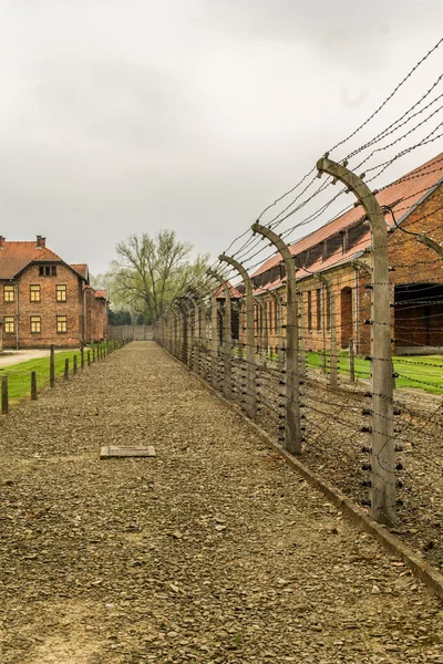 Chaminés de Auschwitz — Fotografia de Stock