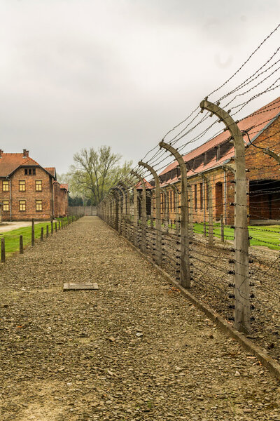 Chimneys of Auschwitz