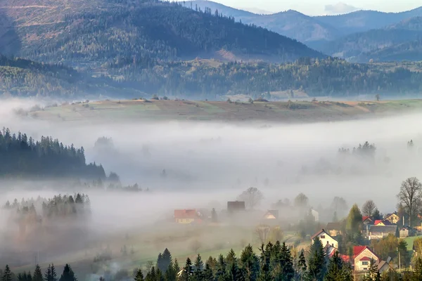 Nebel in den Bergen bei Sonnenaufgang — Stockfoto