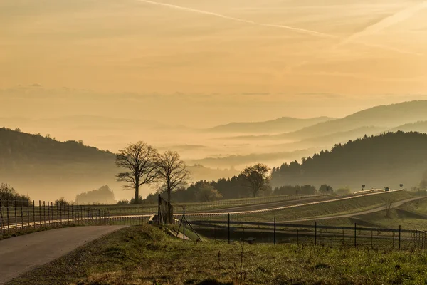 Gün doğumunda dağlarda sis var.