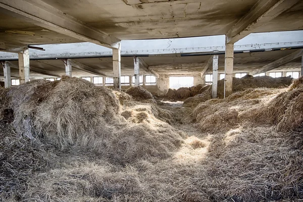 Hay in de schuur — Stockfoto