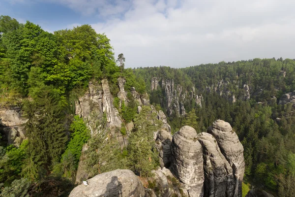 Sten i Bastei - Stock-foto