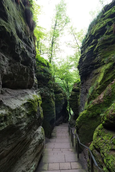 Rochers en Bastei — Photo