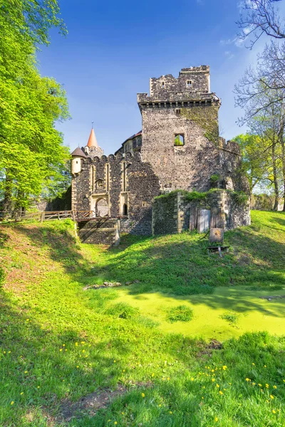 Castle Grodziec — Stock Photo, Image