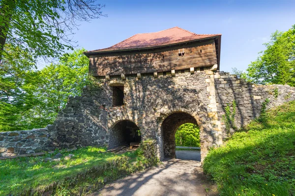 Burg Grodziec — Stockfoto