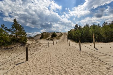 hareketli kumulları