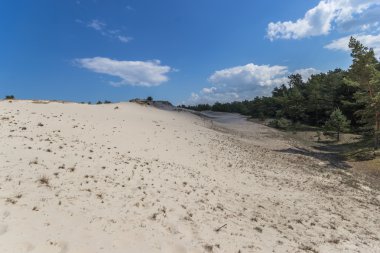 hareketli kumulları