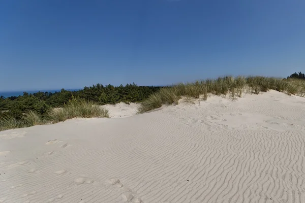 Bewegende duinen — Stockfoto