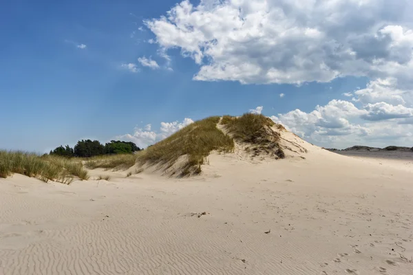 Flyttbare sanddyner – stockfoto