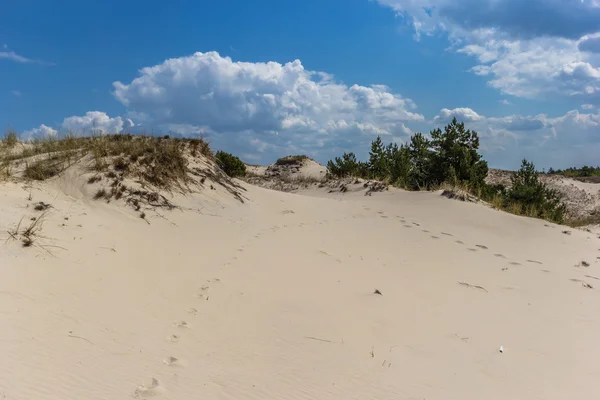 Moving dunes — Stock Photo, Image