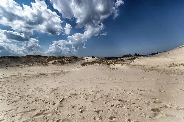 Moving dunes — Stock Photo, Image
