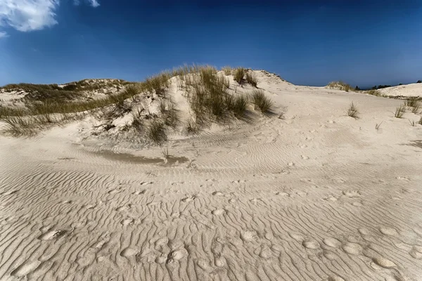 Bewegende duinen — Stockfoto