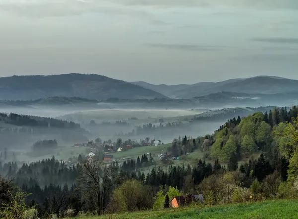 Nebbia in montagna all'alba — Foto Stock