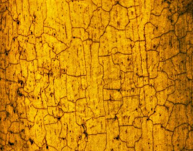 sarı kahverengi doku crackled arka plan