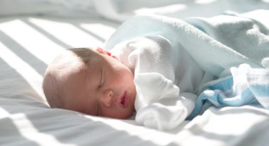 pencerenin yanında uyuyan