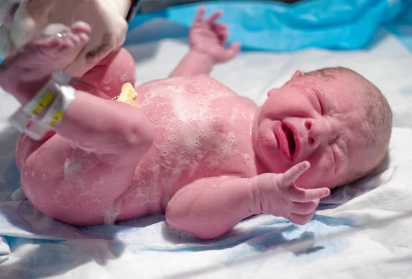 Newborn Getting Bathed in Hospital — Stock Photo, Image