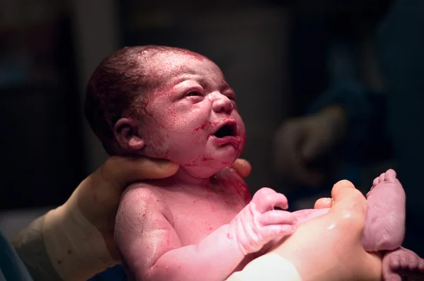 Newborn baby Stock Photo
