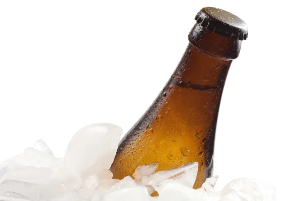 Beer and ice — Stock Photo, Image