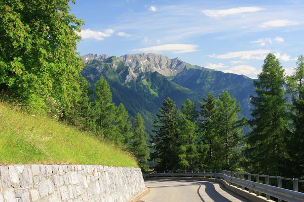 高山道夏天风景 — 图库照片