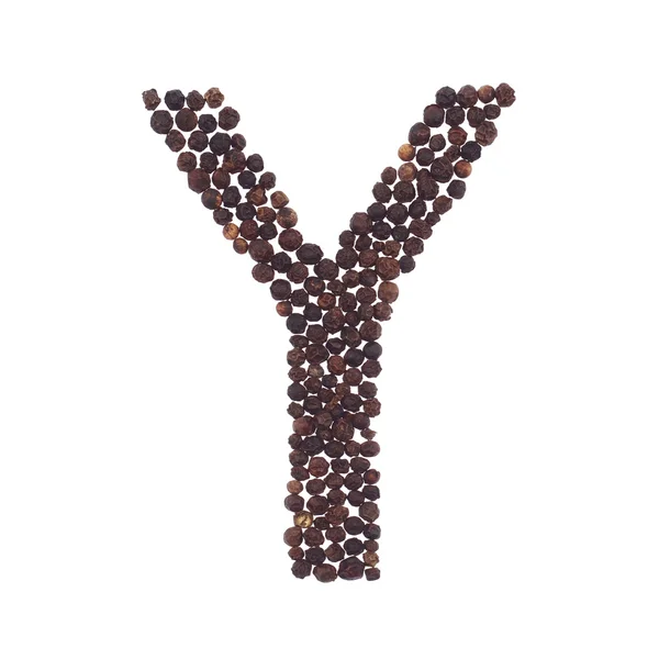 Letter Y made of pepper — Stock Photo, Image