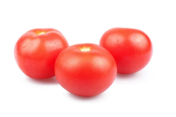 Tomates aislados — Foto de Stock