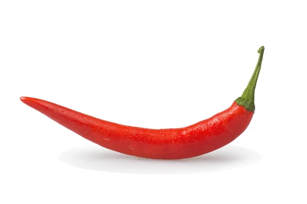 Vörös forró chili paprika izolált fehér — Stock Fotó