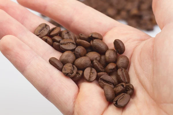 Granos de café en las manos — Foto de Stock