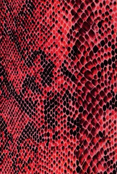 Red Snake Skin Pattern