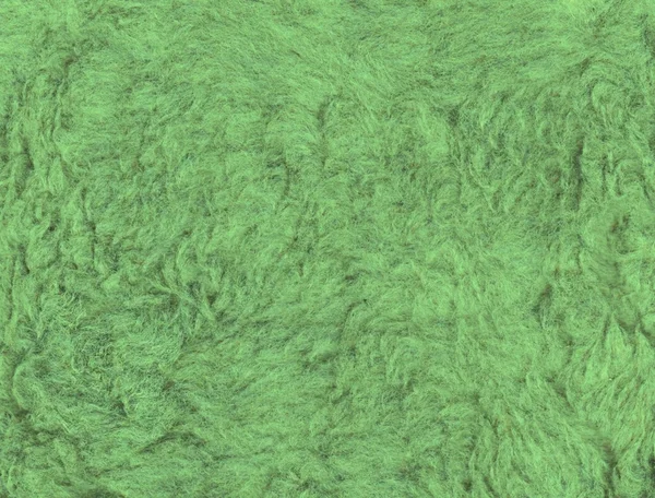Zielony futro — Zdjęcie stockowe