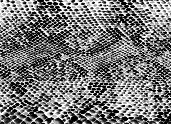 Reptile skin imitation