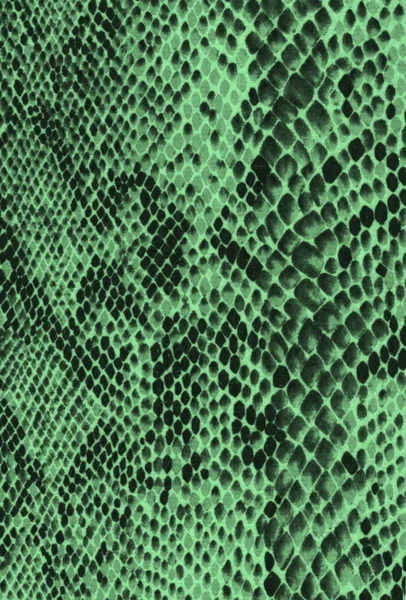 Grüne Reptilien- / Schlangenhaut-Imitation — Stockfoto