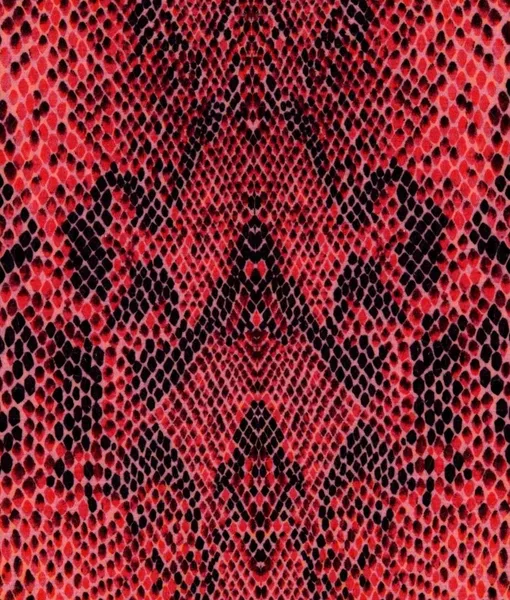 Red reptile skin pattern