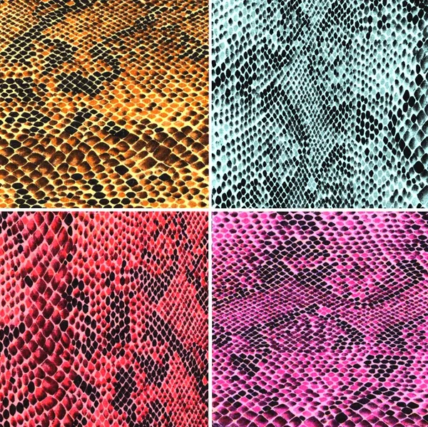 Set of colorful snake skin — Stock Photo, Image